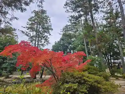 唐招提寺(奈良県)