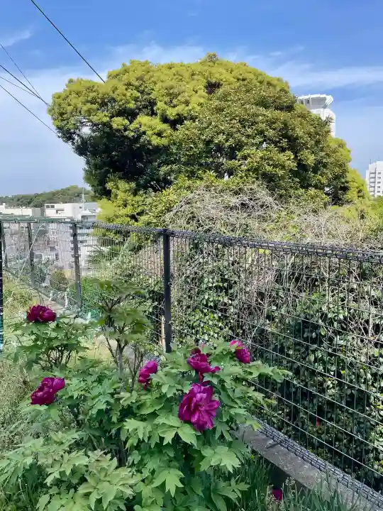 萬藏寺の{uncategorized: "未分類", other: "その他", undefined: "問題あり", building: "その他建物", grave: "お墓", sacred_gate: "鳥居", guardian: "狛犬", statue: "像", buddha: "仏像", history: "歴史", nature: "自然", garden: "庭園", animal: "動物", pagoda: "塔", temizu: "手水舎", mountain_gate: "山門・神門", sanctuary: "本殿・本堂", subordinate: "末社・摂社", art: "芸術", scenery: "景色", jizo: "地蔵", ema: "絵馬", goshuin: "御朱印", omikuji: "おみくじ", items: "授与品その他", amulet: "お守り", goshuincho: "御朱印帳", eats: "食事", festival: "お祭り", votive_dance: "神楽", shichigosan: "七五三参", wedding: "結婚式", experience: "体験その他", initially: "初詣", around: "周辺", anti_infection: "感染症対策"}