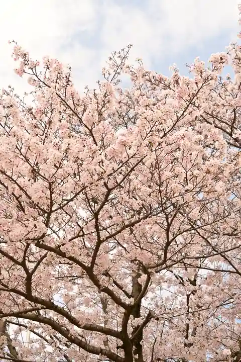 海禅寺(愛媛県)