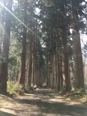 戸隠神社奥社(長野県)