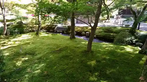 禅林寺（永観堂）の庭園