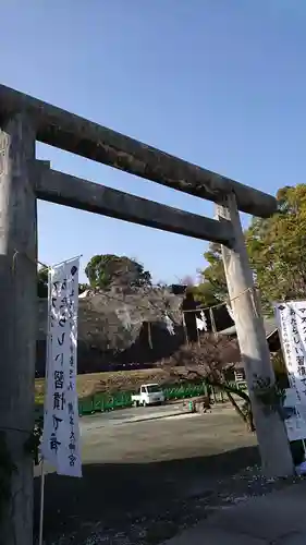 熊本大神宮の鳥居