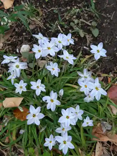 白幡八幡神社(神奈川県)