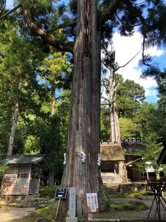 元伊勢内宮 皇大神社の自然