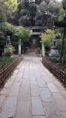 赤坂氷川神社の鳥居