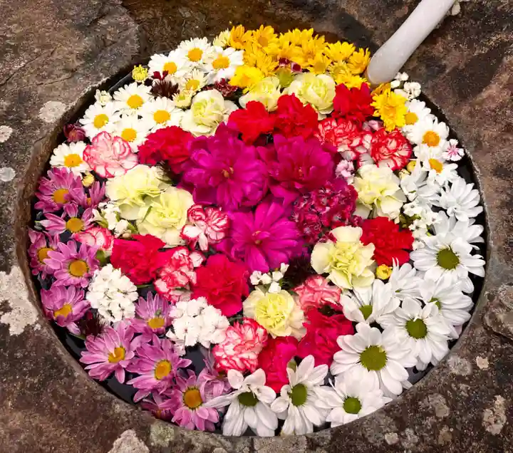 真言宗 善通寺派 薬王寺(香川県)