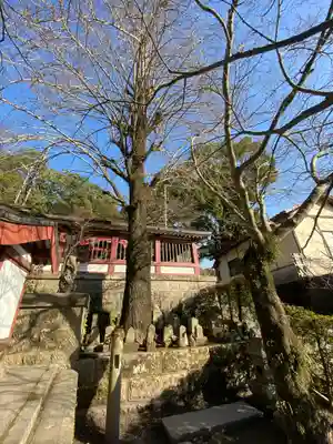 鹿児島神社のその他建物
