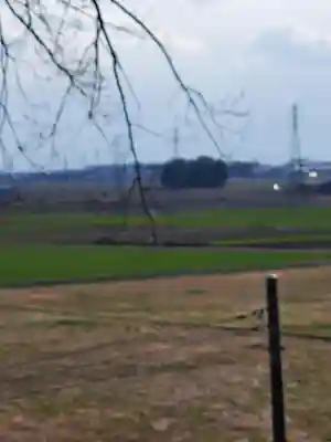 阿夫利神社(藤本観音山古墳)(栃木県)