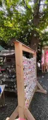 札幌諏訪神社のおみくじ