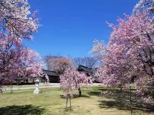 長野縣護國神社の自然