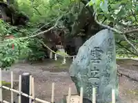 浜松八幡宮の自然