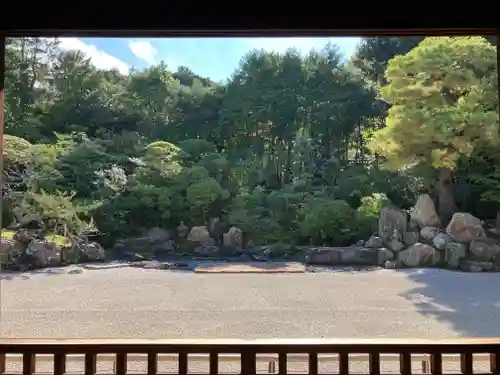 金地院の庭園