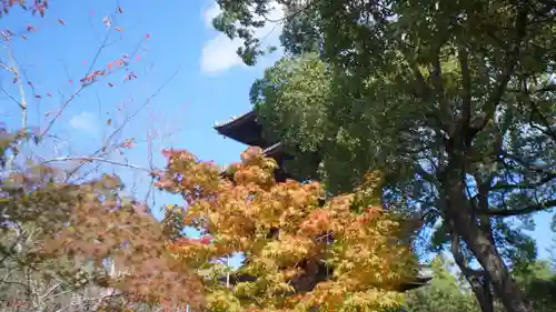 仁和寺(京都府)