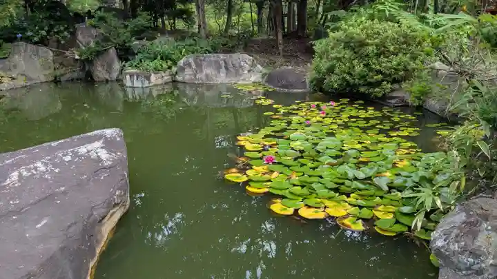 札幌大師 招福寺の庭園