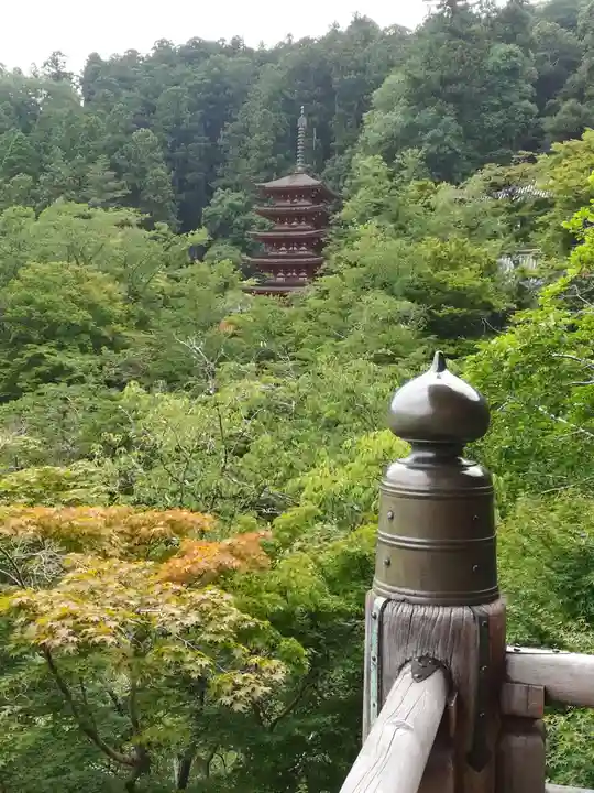 長谷寺(奈良県)