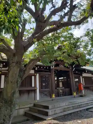 白金氷川神社(東京都)