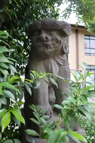 鷺宮八幡神社の狛犬