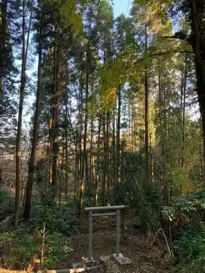 妙見神社の鳥居