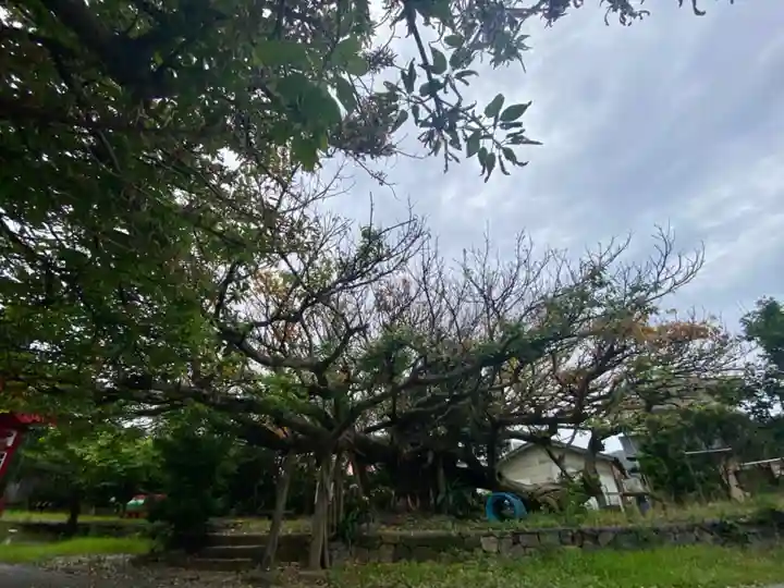 柏島稲荷神社(高知県)