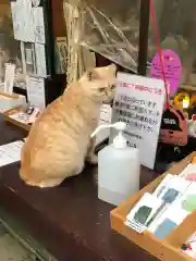 王子神社の動物