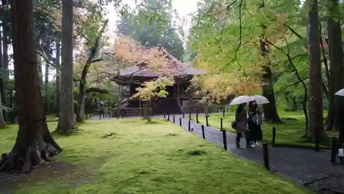 三千院門跡の庭園