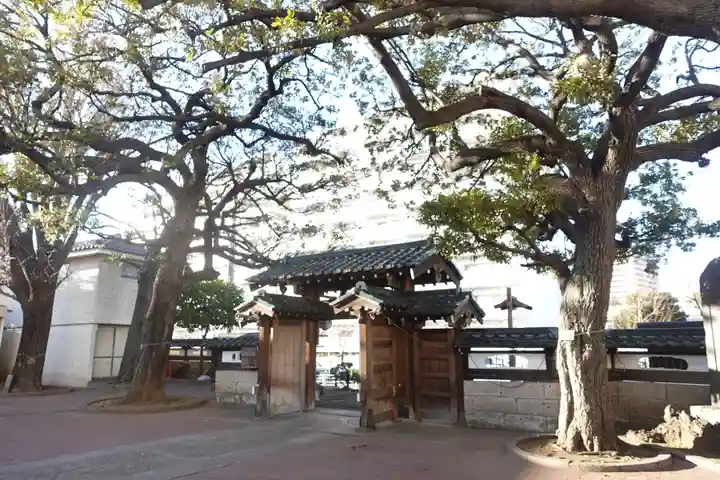 善徳寺(東京都)