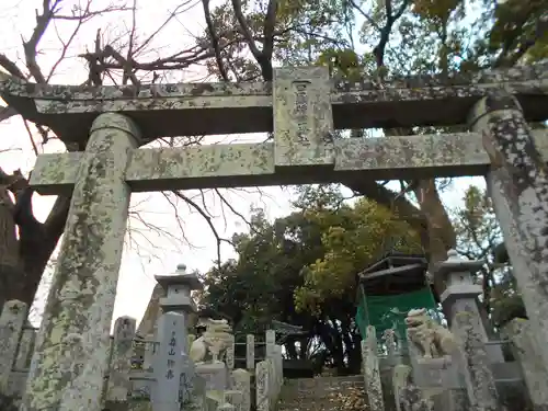 日羅将軍神社の鳥居