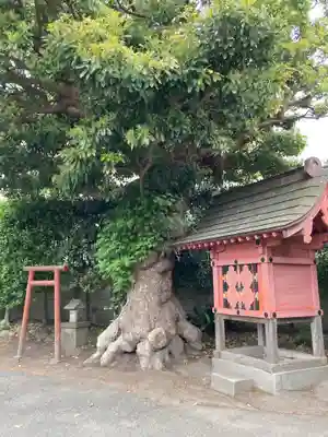本興寺(神奈川県)