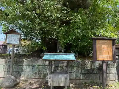 闘鶏神社の{uncategorized: "未分類", other: "その他", undefined: "問題あり", building: "その他建物", grave: "お墓", sacred_gate: "鳥居", guardian: "狛犬", statue: "像", buddha: "仏像", history: "歴史", nature: "自然", garden: "庭園", animal: "動物", pagoda: "塔", temizu: "手水舎", mountain_gate: "山門・神門", sanctuary: "本殿・本堂", subordinate: "末社・摂社", art: "芸術", scenery: "景色", jizo: "地蔵", ema: "絵馬", goshuin: "御朱印", omikuji: "おみくじ", items: "授与品その他", amulet: "お守り", goshuincho: "御朱印帳", eats: "食事", festival: "お祭り", votive_dance: "神楽", shichigosan: "七五三参", wedding: "結婚式", experience: "体験その他", initially: "初詣", around: "周辺", anti_infection: "感染症対策"}