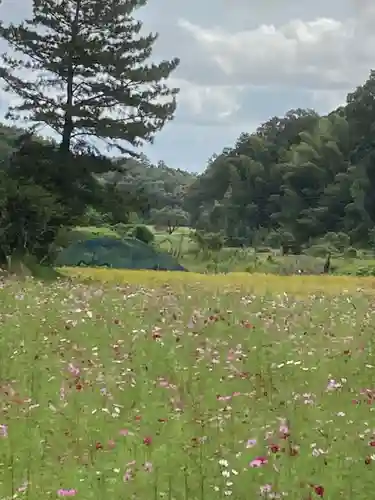 結縁寺(千葉県)