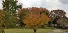 香取神社の自然