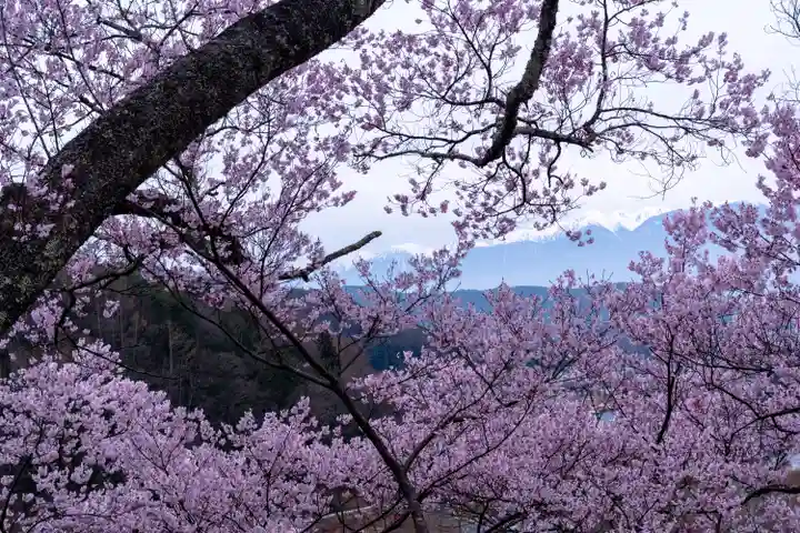 新城藤原神社(長野県)
