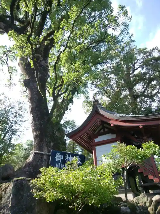 鹿児島神宮(鹿児島県)
