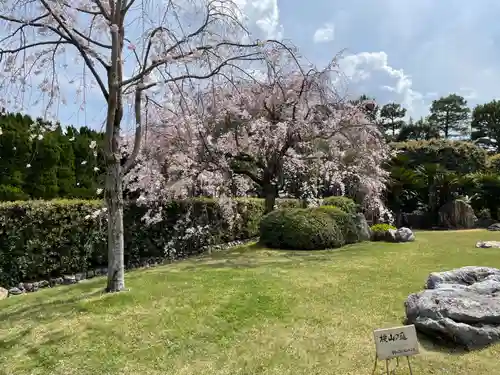 城南宮(京都府)