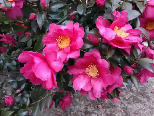 等観院(京都府)