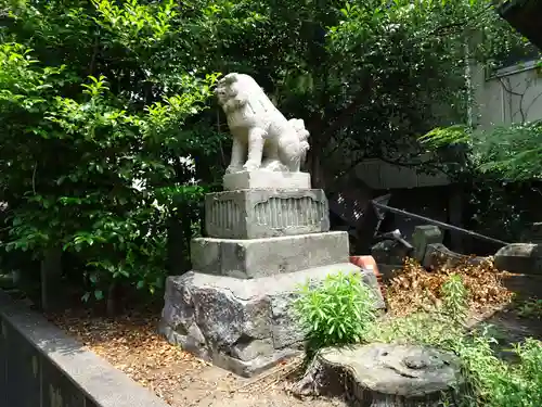 小旙八幡宮の狛犬