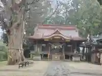 素鵞神社の本殿・本堂
