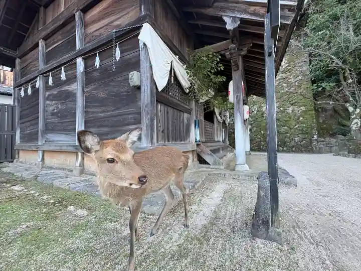 長浜神社(広島県)