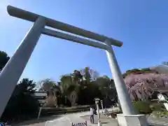 櫻木神社(千葉県)