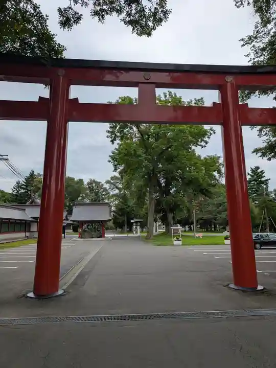 北海道護國神社の鳥居