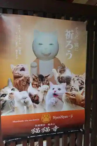 猫猫寺(京都府)