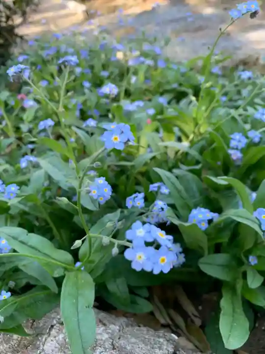 八幡神社(埼玉県)