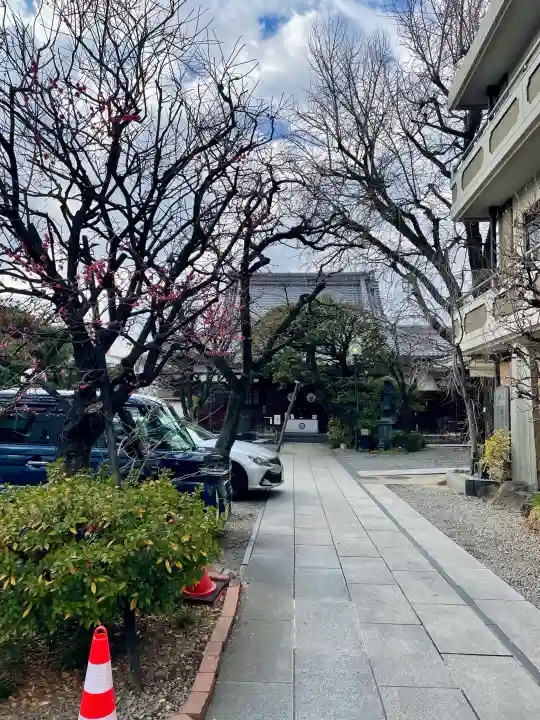 永稱寺の{uncategorized: "未分類", other: "その他", undefined: "問題あり", building: "その他建物", grave: "お墓", sacred_gate: "鳥居", guardian: "狛犬", statue: "像", buddha: "仏像", history: "歴史", nature: "自然", garden: "庭園", animal: "動物", pagoda: "塔", temizu: "手水舎", mountain_gate: "山門・神門", sanctuary: "本殿・本堂", subordinate: "末社・摂社", art: "芸術", scenery: "景色", jizo: "地蔵", ema: "絵馬", goshuin: "御朱印", omikuji: "おみくじ", items: "授与品その他", amulet: "お守り", goshuincho: "御朱印帳", eats: "食事", festival: "お祭り", votive_dance: "神楽", shichigosan: "七五三参", wedding: "結婚式", experience: "体験その他", initially: "初詣", around: "周辺", anti_infection: "感染症対策"}