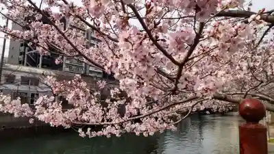 伊勢山皇大神宮の御朱印