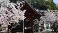 安岡寺(大阪府)