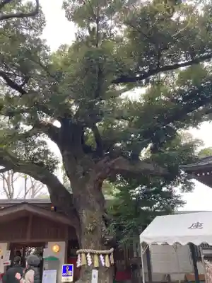 座間神社(神奈川県)
