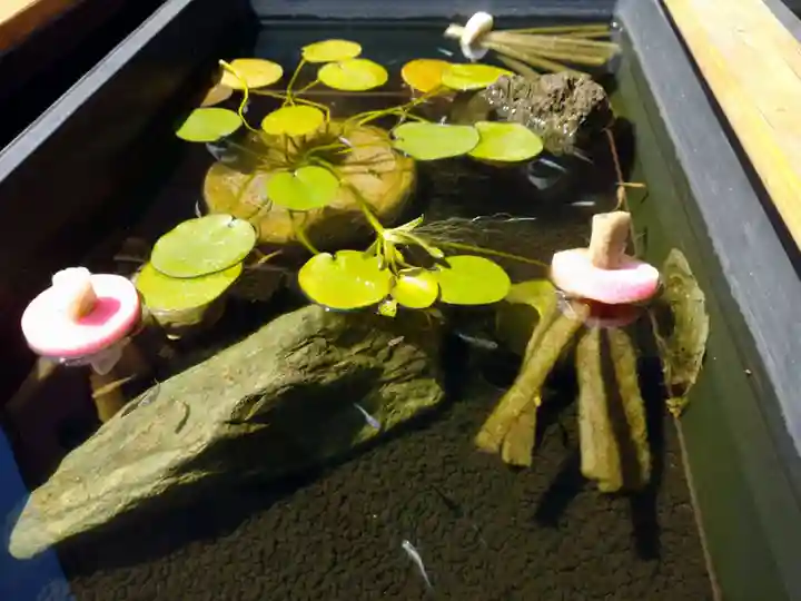 観音寺(福岡県)