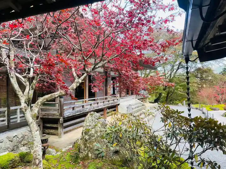 古知谷阿弥陀寺(京都府)