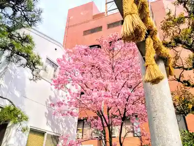 三喜神社の自然