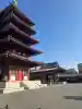 四天王寺の{uncategorized: "未分類", other: "その他", undefined: "問題あり", building: "その他建物", grave: "お墓", sacred_gate: "鳥居", guardian: "狛犬", statue: "像", buddha: "仏像", history: "歴史", nature: "自然", garden: "庭園", animal: "動物", pagoda: "塔", temizu: "手水舎", mountain_gate: "山門・神門", sanctuary: "本殿・本堂", subordinate: "末社・摂社", art: "芸術", scenery: "景色", jizo: "地蔵", ema: "絵馬", goshuin: "御朱印", omikuji: "おみくじ", items: "授与品その他", amulet: "お守り", goshuincho: "御朱印帳", eats: "食事", festival: "お祭り", votive_dance: "神楽", shichigosan: "七五三参", wedding: "結婚式", experience: "体験その他", initially: "初詣", around: "周辺", anti_infection: "感染症対策"}